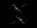 Shad - Remember to Remember (teaser)