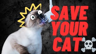 Your House Is Dangerous For A Cat - Put These Things Away! by Purring Loaf 116 views 1 year ago 6 minutes, 4 seconds