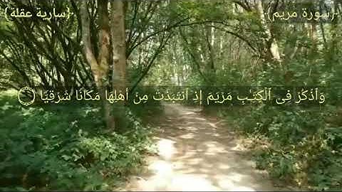 آيات من سورة مريم بصوت سارية عقلة