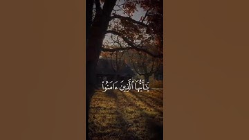 آية واحدة قد تغيّر يومك 💛 تلاوة خاشعة تملأ القلب سكينة.#قرآن #تلاوة_قصيرة #آيات_من_النور