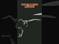 Elder Ovi &amp; Austroraptor - The Isle News #80