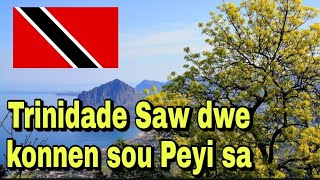 Trinidade et Tobagao Saw dwe konnen sou Peyi sa ak kòman posesis viza a Ye | Cardo info7
