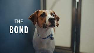 A Battersea Story | The Bond by Battersea Dogs and Cats Home 89,827 views 2 months ago 3 minutes, 30 seconds