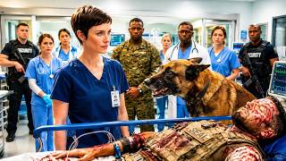 Quiet Nurse Suspended for Defying Protocol—Her Military K9 Uncovered a Federal Conspiracy