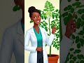 🌿 Moringa: A natural boost for healthy blood sugar.#diabetesawareness #moringabenefits #diabetesrisk