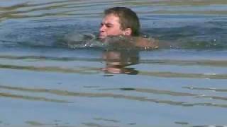 Neal The Chocolate Lab or The Ruddy Duck Retrieval