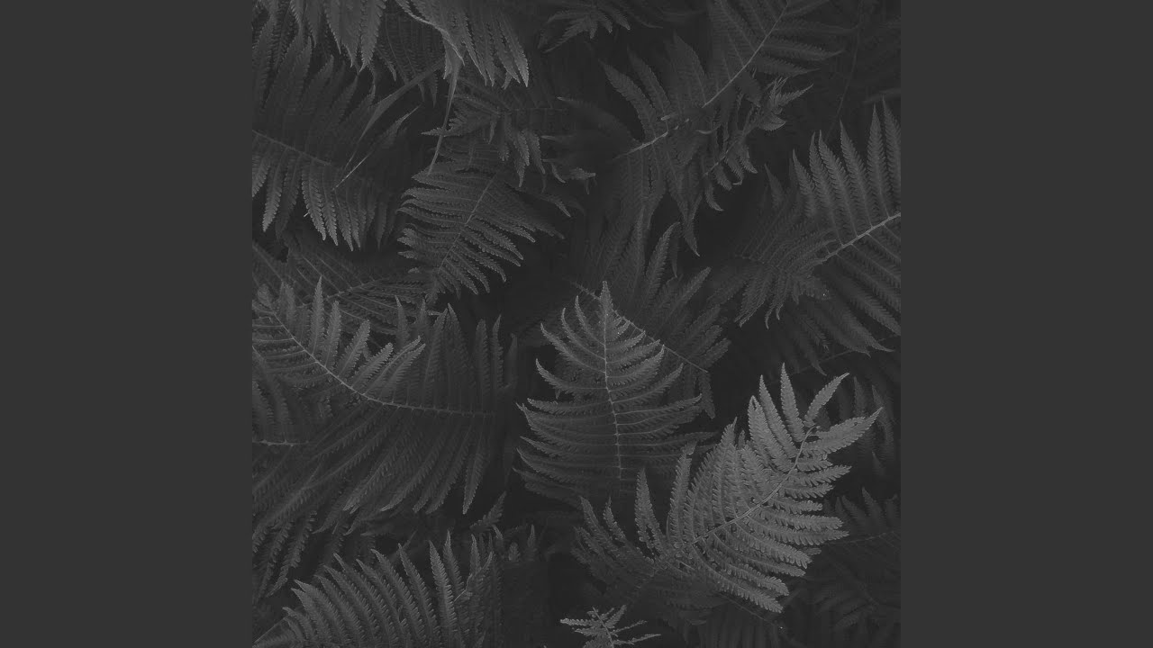 Remarkable Wellness Themes