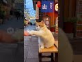 動画制作依頼　ショート動画やりたい企業様ソートライにご相談ください　福岡ショート動画制作　縦型ショート動画　福岡県中小企業振興センター　福岡商工会議所　会員　ふくおか経済　掲載企業　動画スタジオ