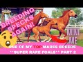 My TOP mare specks! Let's breed MORE unique and cute foals! Round 2. Rival Stars Horse Racing