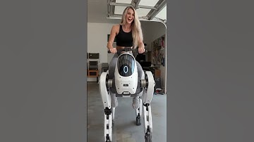 New Hobby: Riding a Quadruped Robot. #robotics#nextgen#robot#quadrupedrobot#humanoid