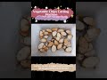 Automatic Vegetable Cutting Machine+8618537181327