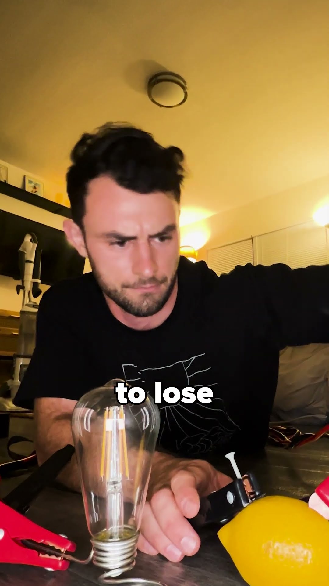 Can You Get Power from a Lemon? ?