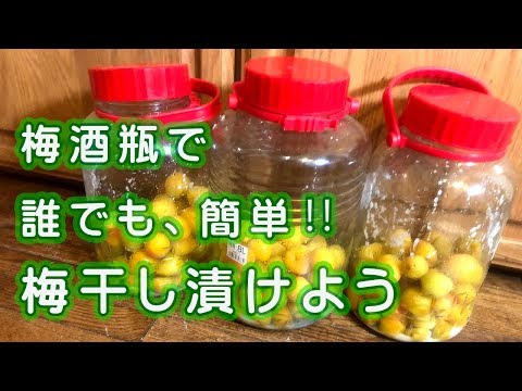 梅干し漬け瓶 hqdefault.jpg