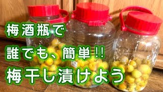 梅酒瓶で漬ける❗️簡単！梅干し1 - YouTube
