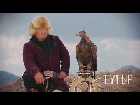 Бүркіт! - YouTube