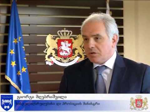 სასჯელაღსრულების მინისტრი ამერიკის ელჩს შეხვდა