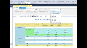 Tutorial de SQL SERVER REPORTING SERVICES (SSRS) Parte 10 - Parametros Dinamicos