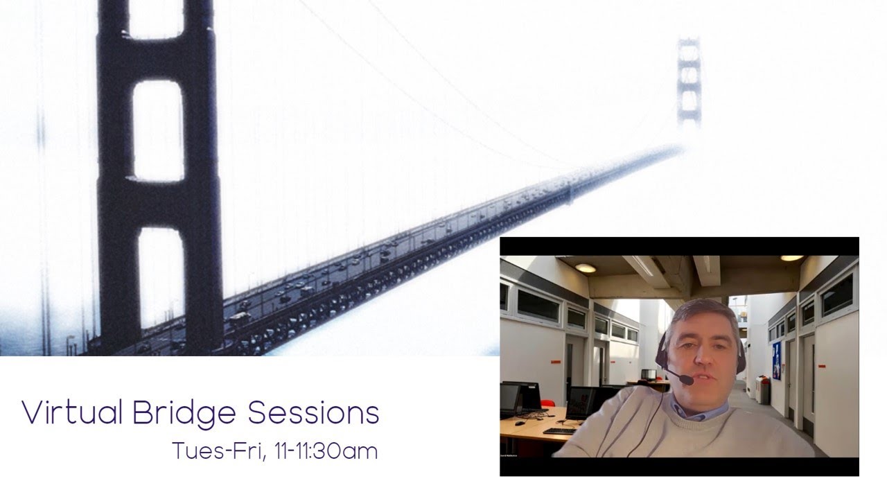 Virtual Bridge Sessions - Digital Literacy Skills: Revisited