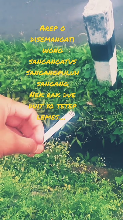 story video wa kekinian || kalih welasku denny caknan #shorts #short