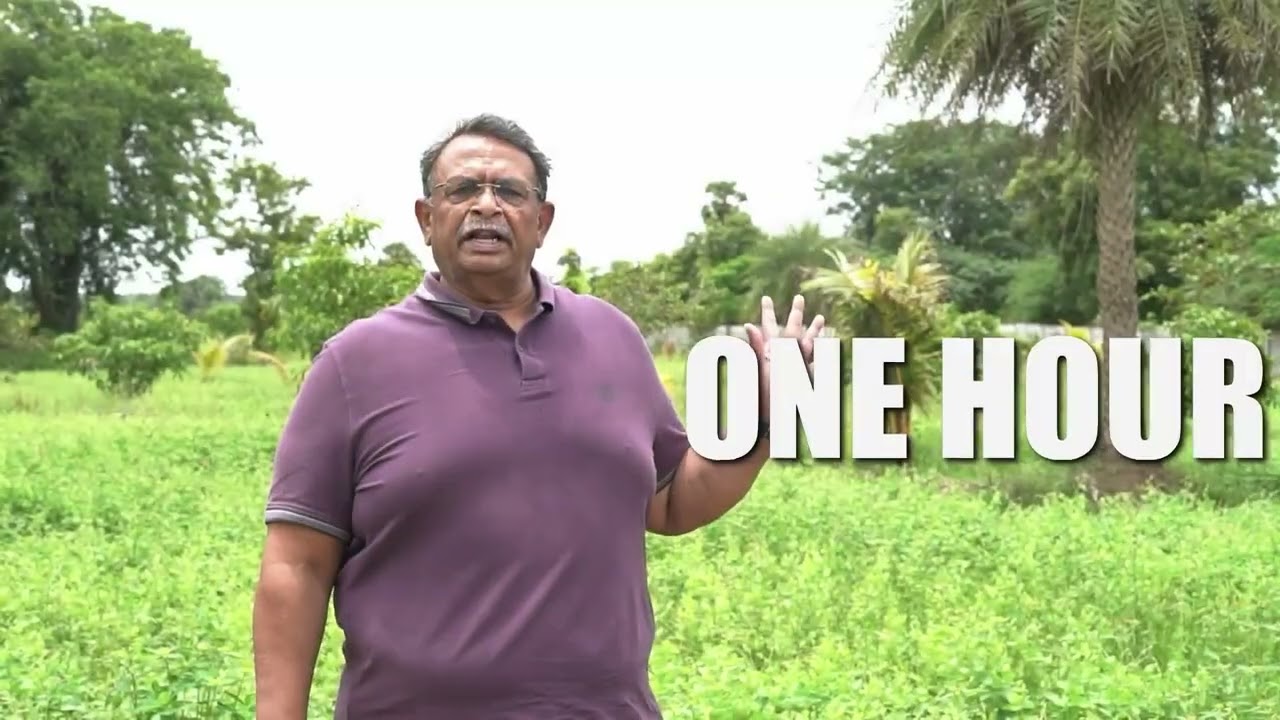 Own nature’s masterpiece – premium managed farmland near Chennai ₹40 Lakhs.