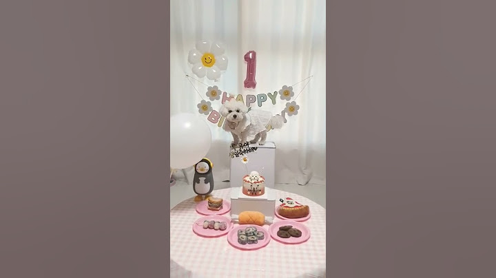 VLOG | SHORTS. 미니비숑. 1살 생일 파티. 생일 축하해 두유야♡