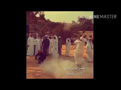 هديل عسكر البارود 515