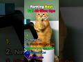 Ranking Best Cat 4K Glow Ups😱😱 #shorts #cat #fyp #cute