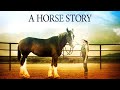 A Horse Story (2016) | Full Movie | Sarah Lieving | Aaron Johnson Araza | Jesse Bell