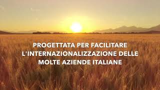 Lanno 2022 È Lalba Della Piattaforma Alysei