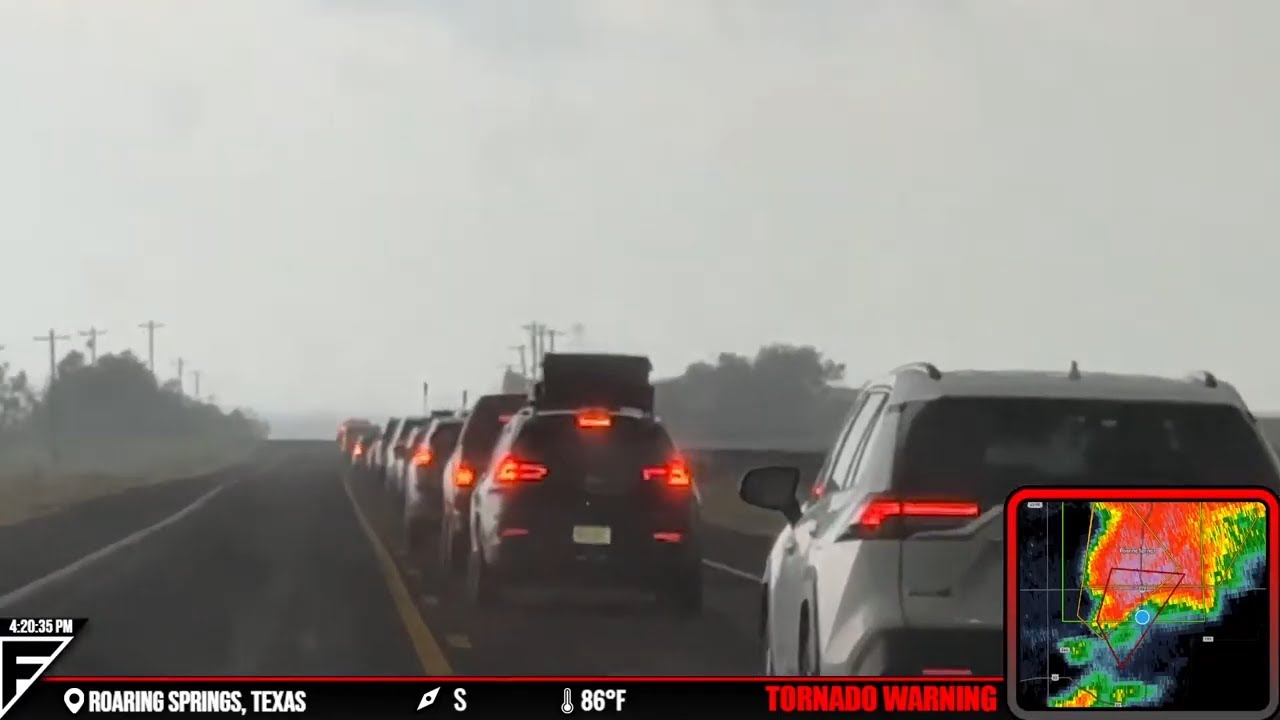 The Great Chaser Migration Of 2025 - Live As It Happened - YouTube