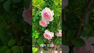 2025년 5월 24일