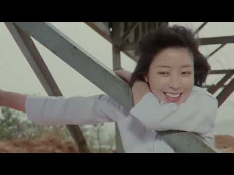 South Korean Women Transforming Society Shifting Traditions 