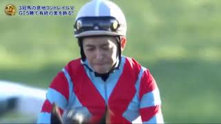 2021  JAPAN CUP    　　地下馬道 ~本馬場入場 ~レース　Contrail  　North Hills　福永祐一 殿 　 Yuichi Fukunaga