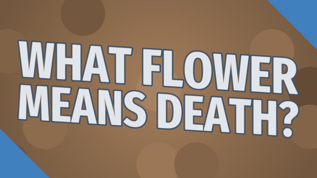 What flower means death? YouTube