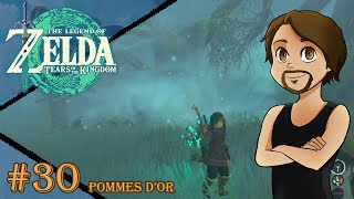 Pommes dor - [REDIFF LIVE] The Legend of Zelda : Tears of the Kingdom 30