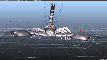 My First Rig - Scorpion