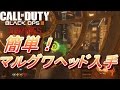 BO3 ゾンビ 簡単マルグワヘッド入手法