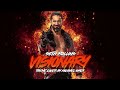 Seth rollins theme visionary cover