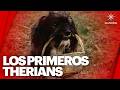 ¿Therians en las telenovelas? 🐾 El drama que no viste venir #BuscasDrama