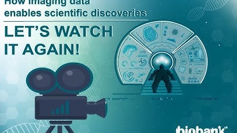 How imaging data enables scientific discoveries: UK Biobank participant event