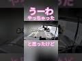 ギリセーフ宅配さん#トレーラー #トラック #truck #trailer#trailerbacking#trailerbackup#shorts#左バック