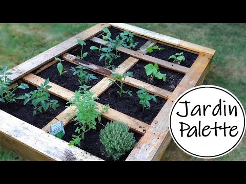 Vidéo: Quelles palettes peuvent être utilisées en toute sécurité pour le jardinage ?