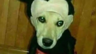 Cursed Images Compilation With A Sad Piano Song In The Background