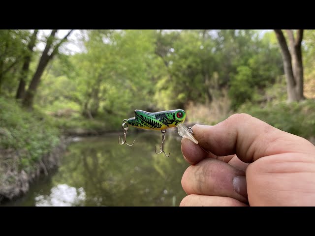 REBEL Crickhopper! Best Creek Fishing Lure? How to Catch CREEK