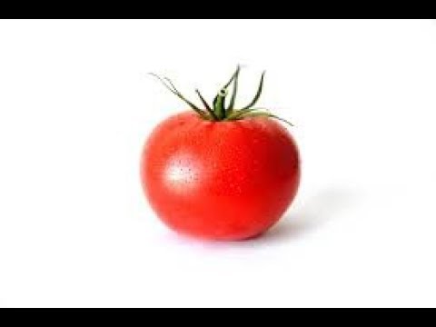 Помидор - YouTube
