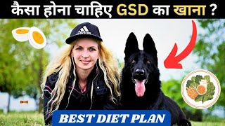 Healthy Diet Chart For GERMAN SHEPHERD Dog | Puppy to Adult Food For GSD (HINDI) by I LOVE DOGS 202 views 9 months ago 6 minutes, 41 seconds