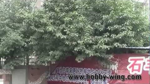 Walkera Mini CP 3D Flight Test