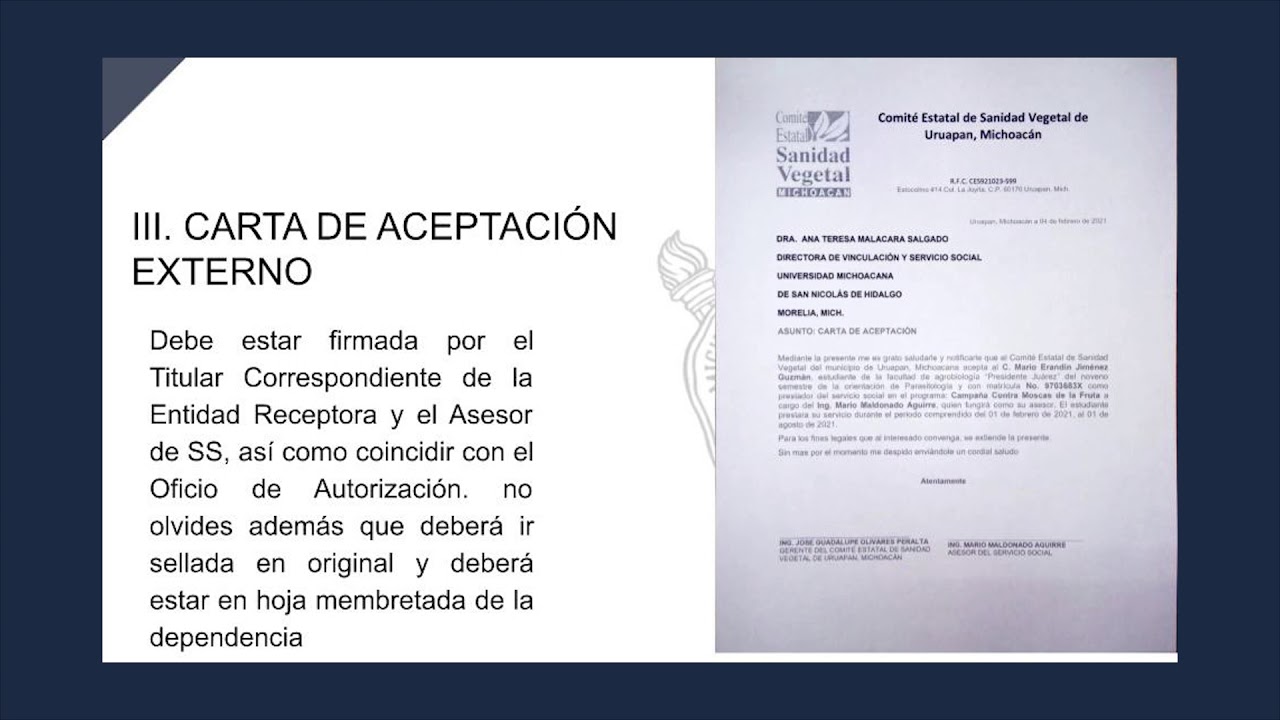 Procedimiento para iniciar el servicio social - YouTube