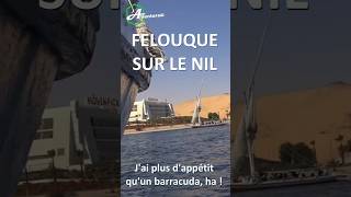 En felouque sur le Nil 🇪🇬⛵ Vers l’île Éléphantine