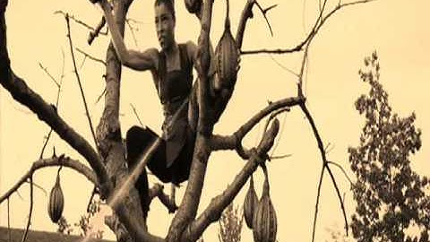 Apollo 440 - Time Is Running Out.Clip TheNanonico